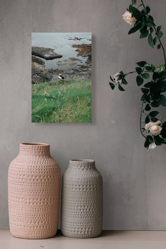 Tablou Canvas, "Pufin solitar pe stâncile de coastă", Iarba, Puffin, Stânci, Mare, Cer, Horizon, Valuri, Natură, Sălbăticie, Peisaj., 26 x 39 cm – poza 6