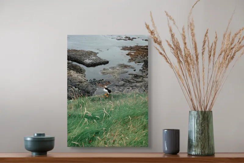 Tablou Canvas, "Pufin solitar pe stâncile de coastă", Iarba, Puffin, Stânci, Mare, Cer, Horizon, Valuri, Natură, Sălbăticie, Peisaj., 39 x 54 cm – poza 3