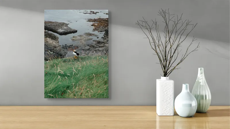 Tablou Canvas, "Pufin solitar pe stâncile de coastă", Iarba, Puffin, Stânci, Mare, Cer, Horizon, Valuri, Natură, Sălbăticie, Peisaj., 39 x 54 cm – poza 4