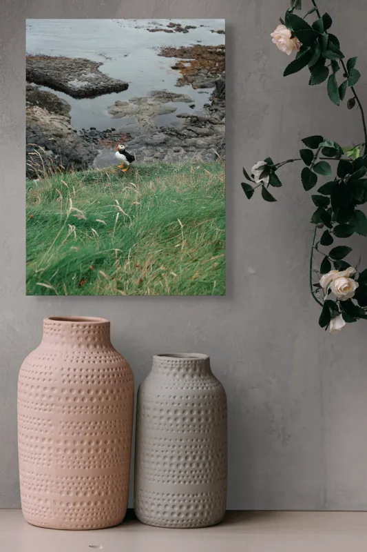 Tablou Canvas, "Pufin solitar pe stâncile de coastă", Iarba, Puffin, Stânci, Mare, Cer, Horizon, Valuri, Natură, Sălbăticie, Peisaj., 39 x 54 cm – poza 6