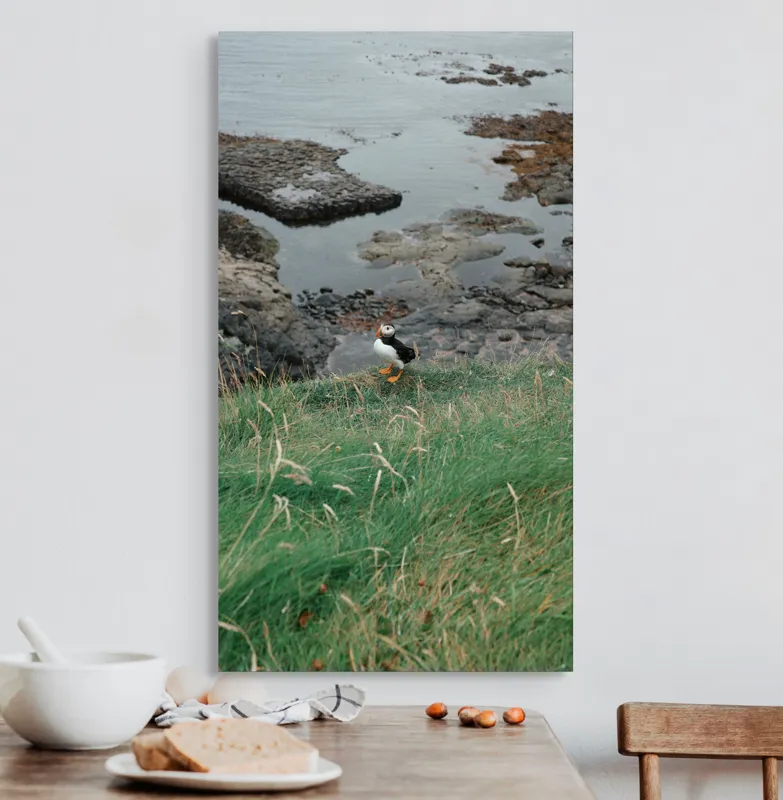 Tablou Canvas, "Pufin solitar pe stâncile de coastă", Iarba, Puffin, Stânci, Mare, Cer, Horizon, Valuri, Natură, Sălbăticie, Peisaj., 50 x 90 cm – poza 3