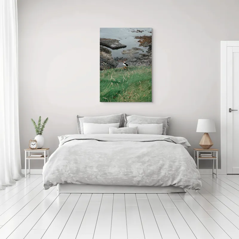 Tablou Canvas, "Pufin solitar pe stâncile de coastă", Iarba, Puffin, Stânci, Mare, Cer, Horizon, Valuri, Natură, Sălbăticie, Peisaj., 70 x 100 cm – poza 3