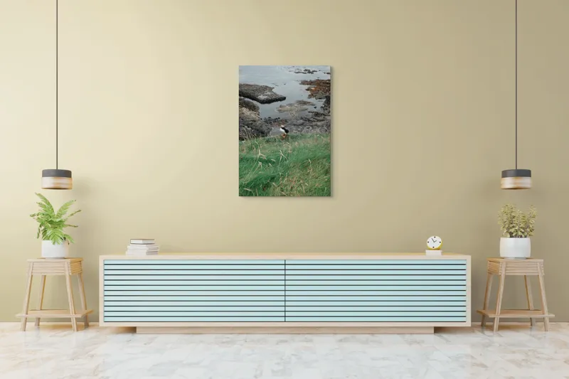Tablou Canvas, "Pufin solitar pe stâncile de coastă", Iarba, Puffin, Stânci, Mare, Cer, Horizon, Valuri, Natură, Sălbăticie, Peisaj., 70 x 100 cm – poza 5