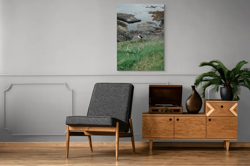 Tablou Canvas, "Pufin solitar pe stâncile de coastă", Iarba, Puffin, Stânci, Mare, Cer, Horizon, Valuri, Natură, Sălbăticie, Peisaj., 70 x 100 cm – poza 6