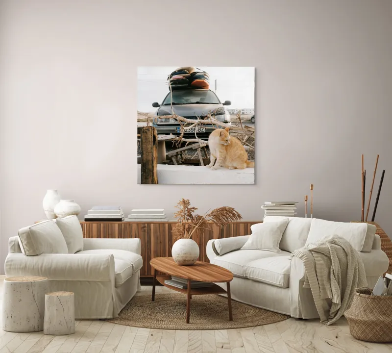 Tablou Canvas, "Pisica de pază în portbagajul verii", Pisică, Mașină, Geamuri, Valize, Ramură, Gard, Nor, Drum, Peisaj, Urban., 100 x 100 cm – poza 3