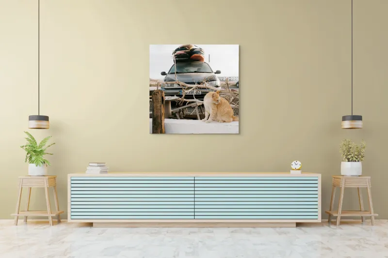 Tablou Canvas, "Pisica de pază în portbagajul verii", Pisică, Mașină, Geamuri, Valize, Ramură, Gard, Nor, Drum, Peisaj, Urban., 100 x 100 cm – poza 5