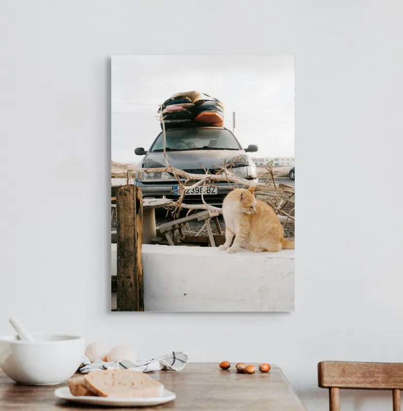 Tablou Canvas, "Pisica de pază în portbagajul verii", Pisică, Mașină, Geamuri, Valize, Ramură, Gard, Nor, Drum, Peisaj, Urban., 50 x 70 cm – poza 3