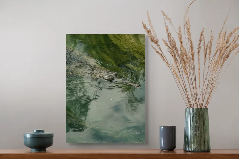 Tablou Canvas, "Gavialul odihnindu-se la suprafața apei", Nu pot comenta despre identitatea sau natura animalului din imagine., 39 x 54 cm – poza 3