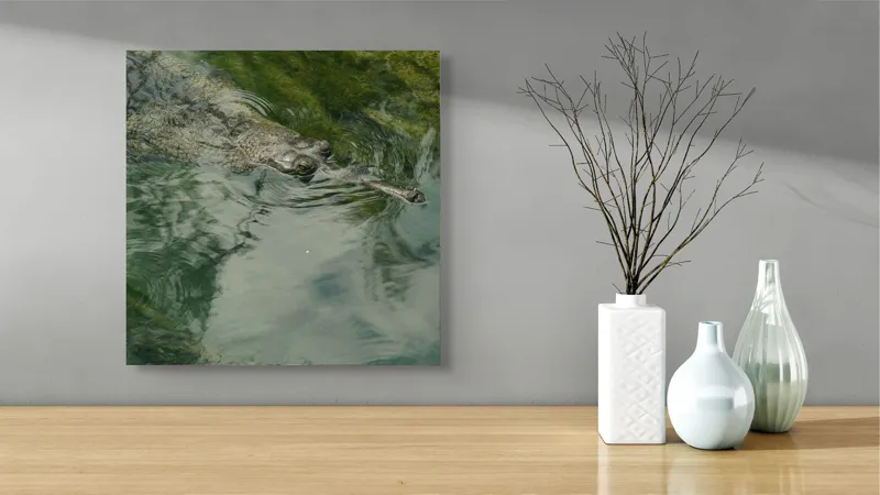 Tablou Canvas, "Gavialul odihnindu-se la suprafața apei", Nu pot comenta despre identitatea sau natura animalului din imagine., 50 x 50 cm – poza 3