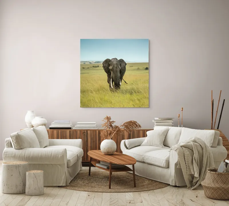 Tablou Canvas, "Elefant solitar pe câmpie africană", Elefant, Savannah, Iarbă, Cer, Teren, Serengeti, Natură, Tundră, Colți, Măreție, 100 x 100 cm – poza 3