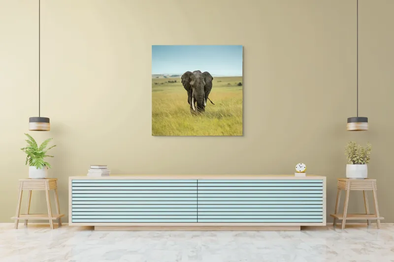 Tablou Canvas, "Elefant solitar pe câmpie africană", Elefant, Savannah, Iarbă, Cer, Teren, Serengeti, Natură, Tundră, Colți, Măreție, 100 x 100 cm – poza 5