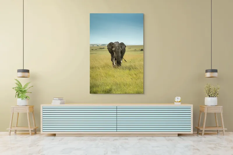 Tablou Canvas, "Elefant solitar pe câmpie africană", Elefant, Savannah, Iarbă, Cer, Teren, Serengeti, Natură, Tundră, Colți, Măreție, 100 x 150 cm – poza 4
