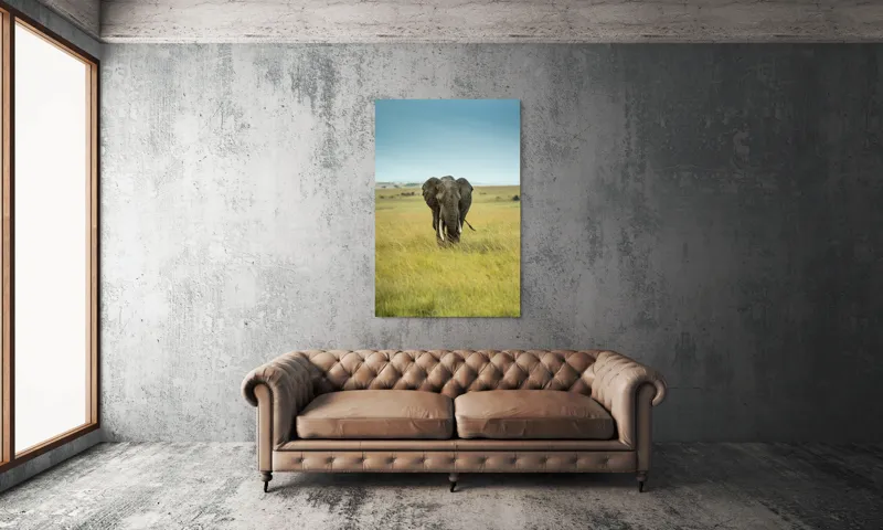 Tablou Canvas, "Elefant solitar pe câmpie africană", Elefant, Savannah, Iarbă, Cer, Teren, Serengeti, Natură, Tundră, Colți, Măreție, 100 x 150 cm – poza 6
