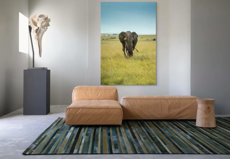 Tablou Canvas, "Elefant solitar pe câmpie africană", Elefant, Savannah, Iarbă, Cer, Teren, Serengeti, Natură, Tundră, Colți, Măreție, 100 x 150 cm – poza 7