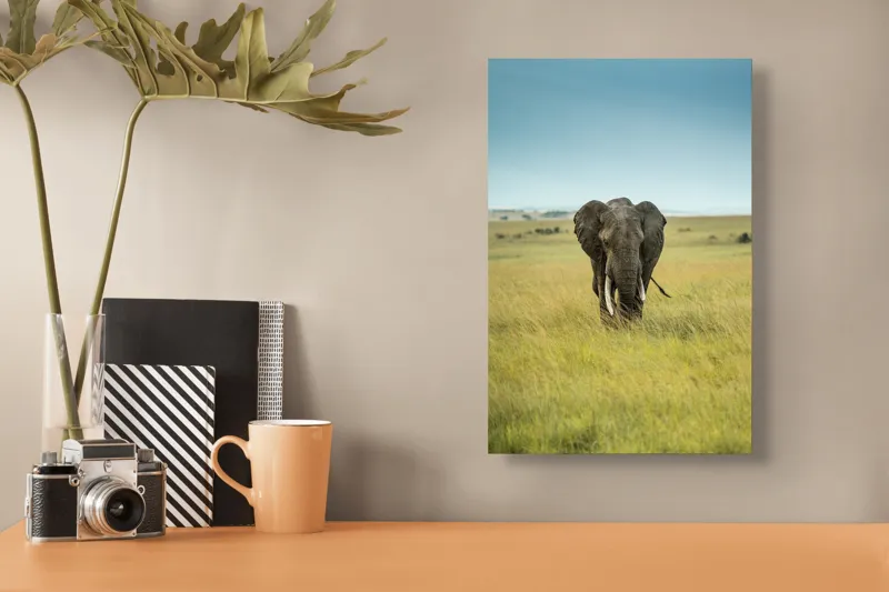 Tablou Canvas, "Elefant solitar pe câmpie africană", Elefant, Savannah, Iarbă, Cer, Teren, Serengeti, Natură, Tundră, Colți, Măreție, 26 x 39 cm – poza 3