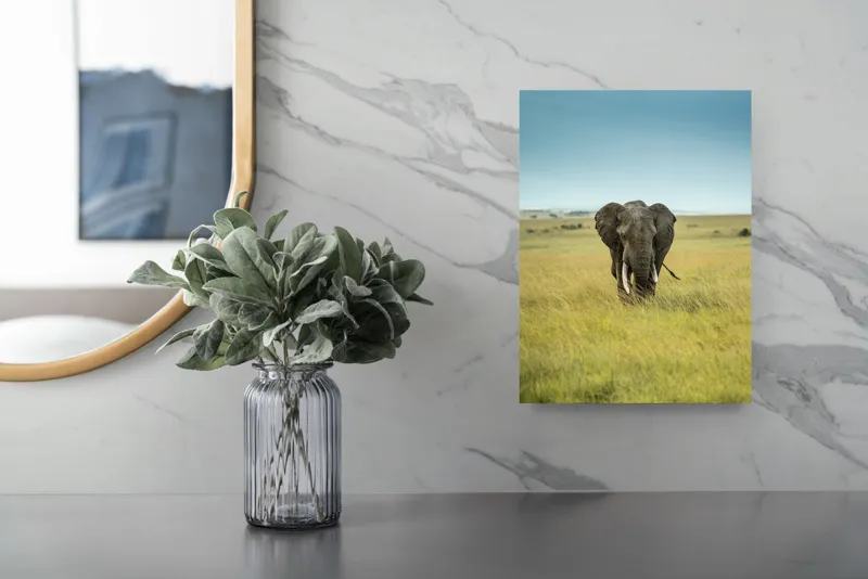 Tablou Canvas, "Elefant solitar pe câmpie africană", Elefant, Savannah, Iarbă, Cer, Teren, Serengeti, Natură, Tundră, Colți, Măreție, 26 x 39 cm – poza 4