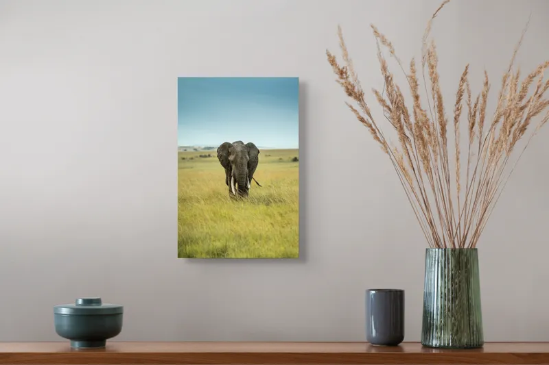 Tablou Canvas, "Elefant solitar pe câmpie africană", Elefant, Savannah, Iarbă, Cer, Teren, Serengeti, Natură, Tundră, Colți, Măreție, 26 x 39 cm – poza 5