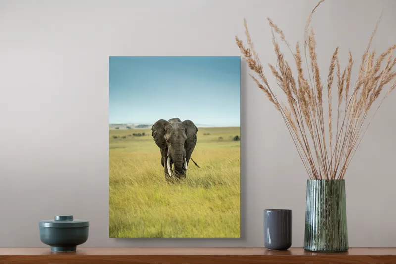 Tablou Canvas, "Elefant solitar pe câmpie africană", Elefant, Savannah, Iarbă, Cer, Teren, Serengeti, Natură, Tundră, Colți, Măreție, 39 x 54 cm – poza 3