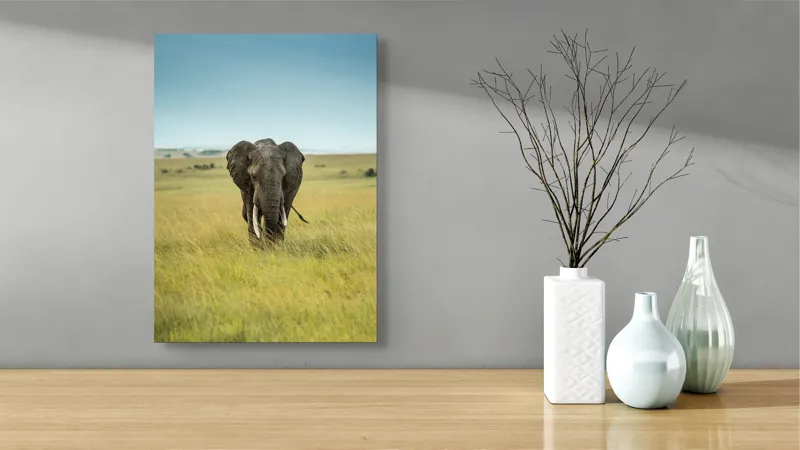 Tablou Canvas, "Elefant solitar pe câmpie africană", Elefant, Savannah, Iarbă, Cer, Teren, Serengeti, Natură, Tundră, Colți, Măreție, 39 x 54 cm – poza 4
