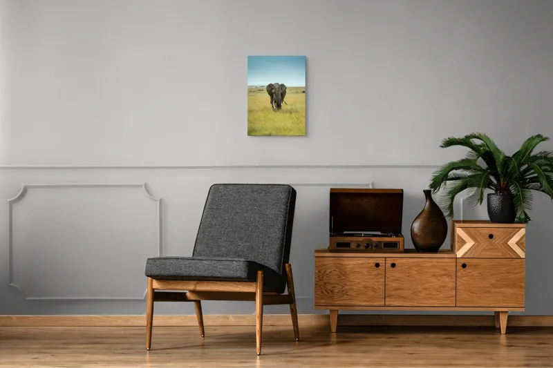 Tablou Canvas, "Elefant solitar pe câmpie africană", Elefant, Savannah, Iarbă, Cer, Teren, Serengeti, Natură, Tundră, Colți, Măreție, 39 x 54 cm – poza 8