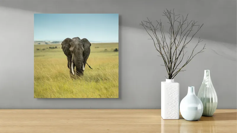 Tablou Canvas, "Elefant solitar pe câmpie africană", Elefant, Savannah, Iarbă, Cer, Teren, Serengeti, Natură, Tundră, Colți, Măreție, 50 x 50 cm – poza 3