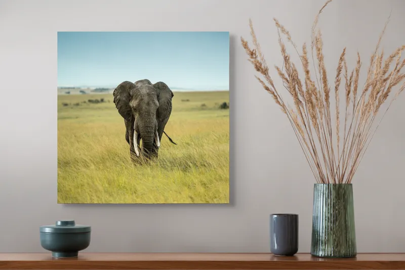 Tablou Canvas, "Elefant solitar pe câmpie africană", Elefant, Savannah, Iarbă, Cer, Teren, Serengeti, Natură, Tundră, Colți, Măreție, 50 x 50 cm – poza 4
