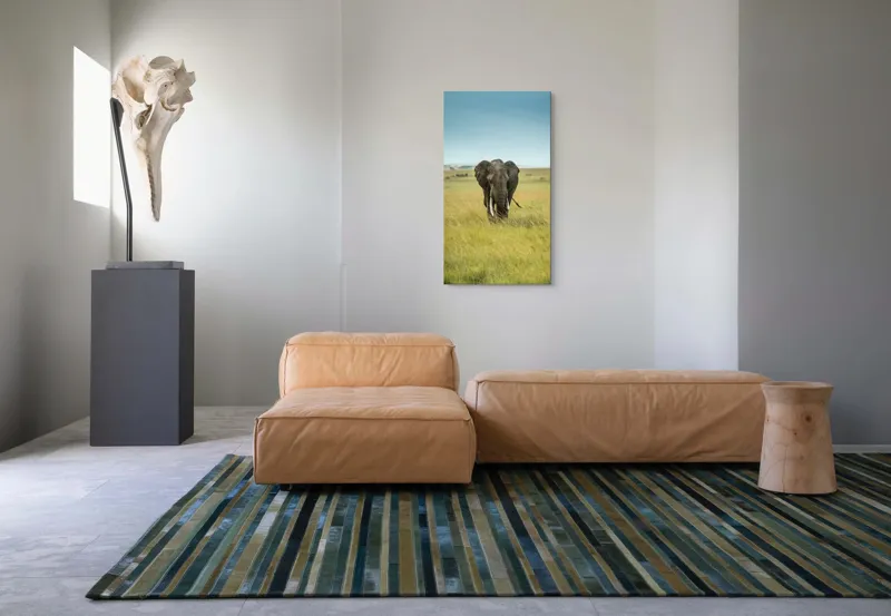 Tablou Canvas, "Elefant solitar pe câmpie africană", Elefant, Savannah, Iarbă, Cer, Teren, Serengeti, Natură, Tundră, Colți, Măreție, 50 x 90 cm – poza 5