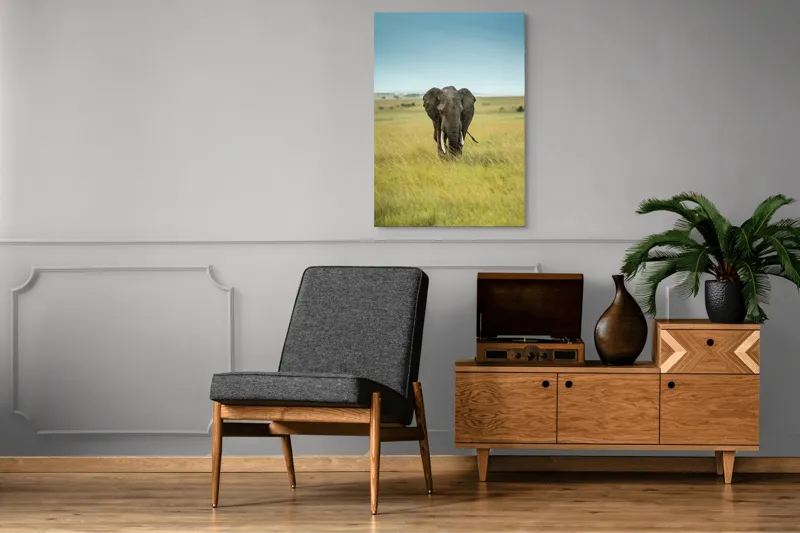 Tablou Canvas, "Elefant solitar pe câmpie africană", Elefant, Savannah, Iarbă, Cer, Teren, Serengeti, Natură, Tundră, Colți, Măreție, 70 x 100 cm – poza 6