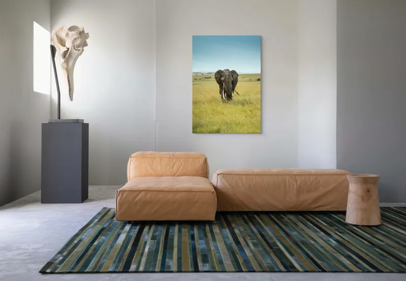 Tablou Canvas, "Elefant solitar pe câmpie africană", Elefant, Savannah, Iarbă, Cer, Teren, Serengeti, Natură, Tundră, Colți, Măreție, 70 x 100 cm – poza 7