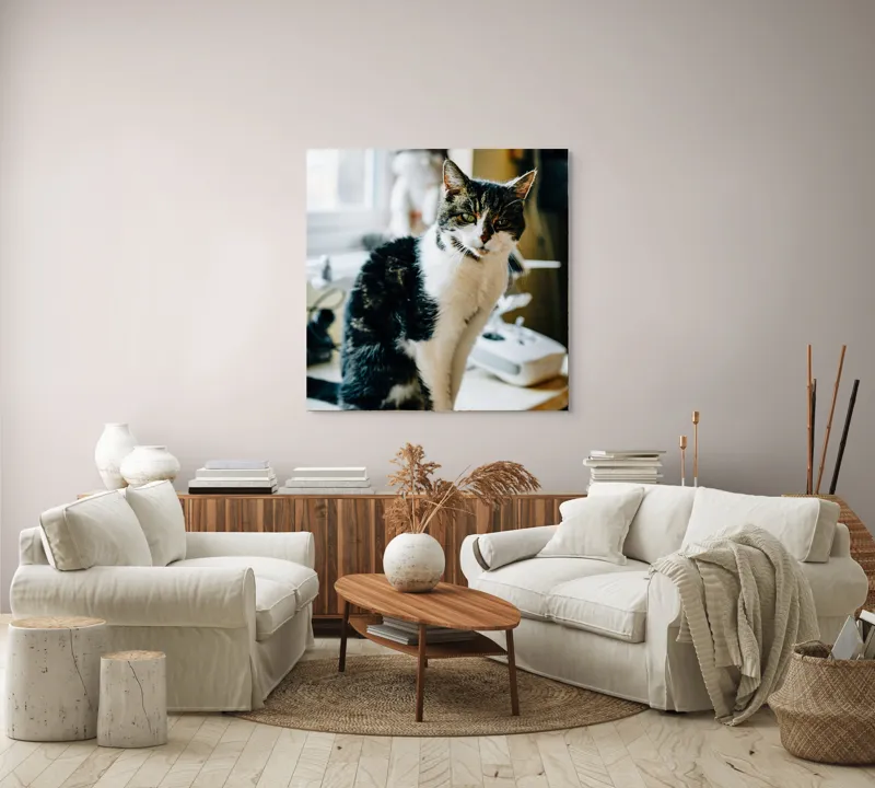 Tablou Canvas, "Pisica mofturoasă pe pervaz luminos", 100 x 100 cm – poza 3