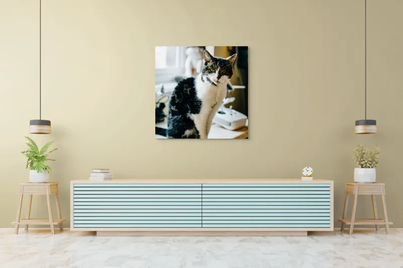 Tablou Canvas, "Pisica mofturoasă pe pervaz luminos", 100 x 100 cm – poza 5