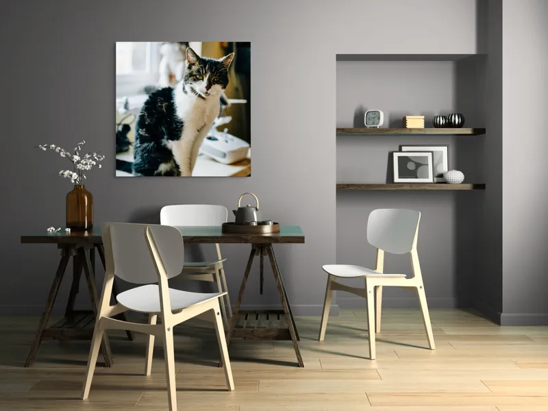 Tablou Canvas, "Pisica mofturoasă pe pervaz luminos", 100 x 100 cm – poza 6