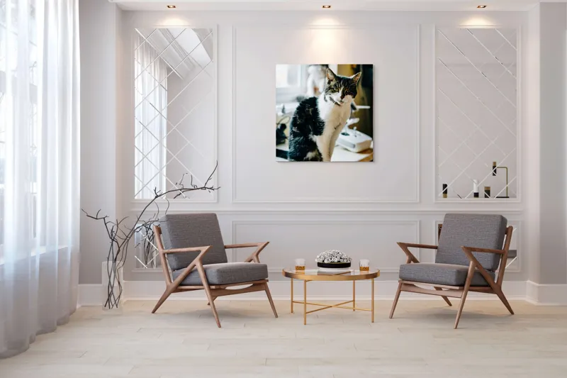 Tablou Canvas, "Pisica mofturoasă pe pervaz luminos", 100 x 100 cm – poza 7