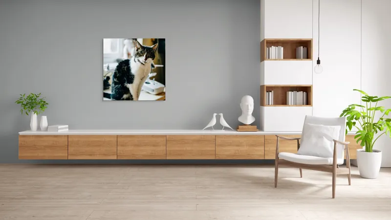 Tablou Canvas, "Pisica mofturoasă pe pervaz luminos", 100 x 100 cm – poza 8