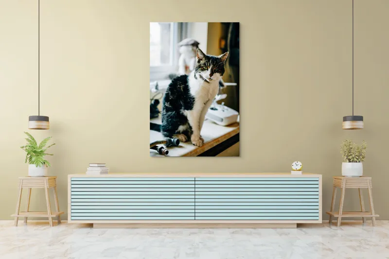 Tablou Canvas, "Pisica mofturoasă pe pervaz luminos", 100 x 150 cm – poza 4