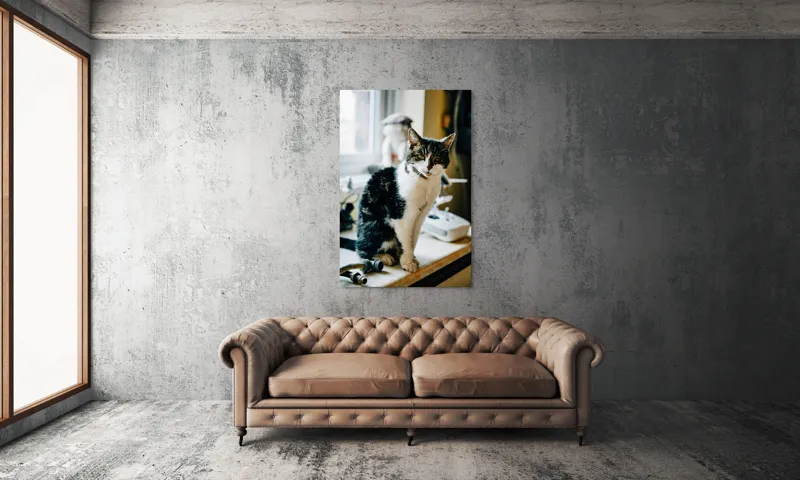 Tablou Canvas, "Pisica mofturoasă pe pervaz luminos", 100 x 150 cm – poza 6