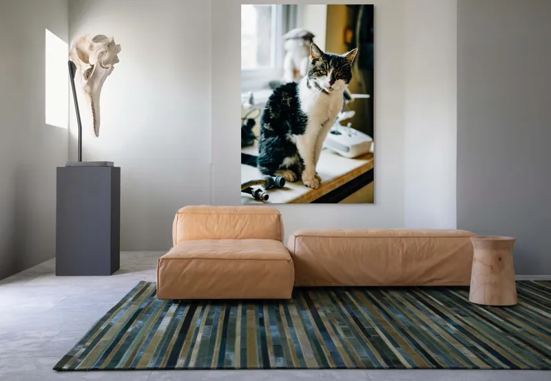 Tablou Canvas, "Pisica mofturoasă pe pervaz luminos", 100 x 150 cm – poza 7