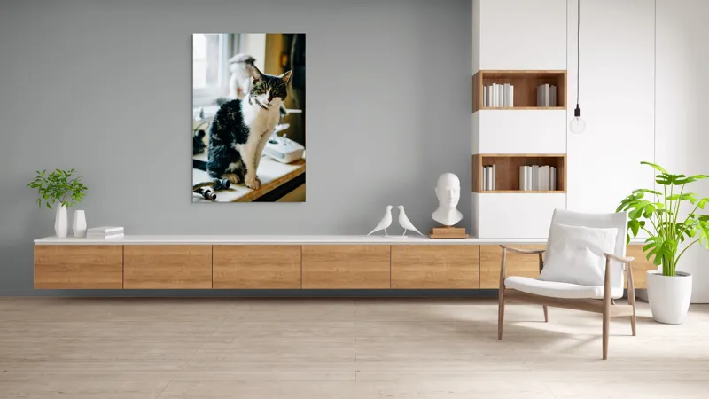 Tablou Canvas, "Pisica mofturoasă pe pervaz luminos", 100 x 150 cm – poza 8