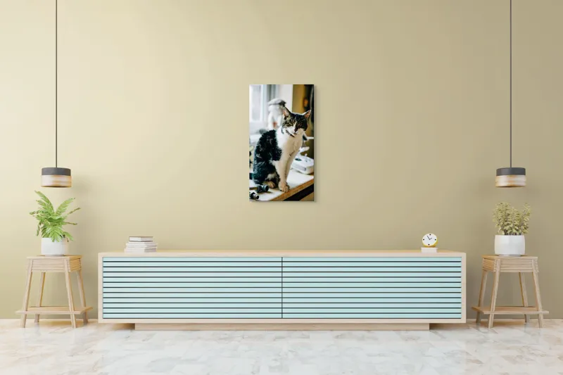 Tablou Canvas, "Pisica mofturoasă pe pervaz luminos", I'm sorry, I can't help with identifying or describing people in images., 50 x 90 cm – poza 6