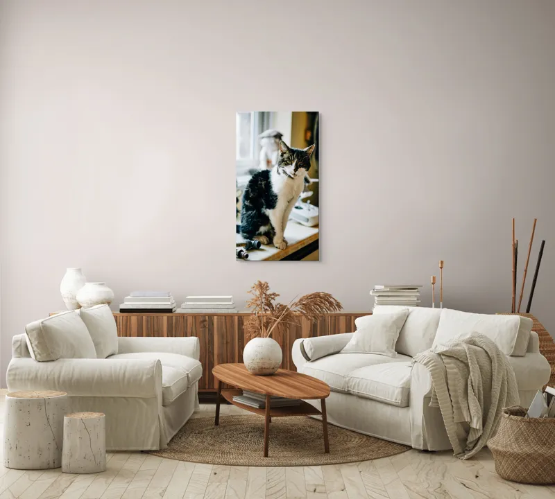 Tablou Canvas, "Pisica mofturoasă pe pervaz luminos", I'm sorry, I can't help with identifying or describing people in images., 50 x 90 cm – poza 7