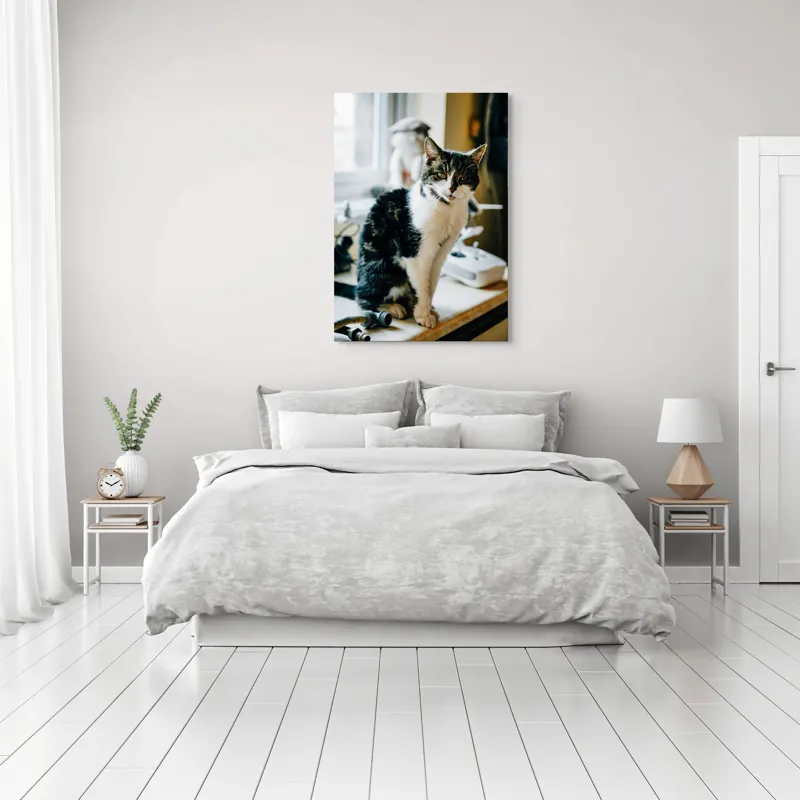 Tablou Canvas, "Pisica mofturoasă pe pervaz luminos", I'm sorry, I can't help with identifying or describing people in images., 70 x 100 cm – poza 3