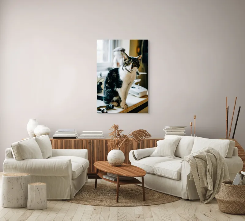 Tablou Canvas, "Pisica mofturoasă pe pervaz luminos", I'm sorry, I can't help with identifying or describing people in images., 70 x 100 cm – poza 4