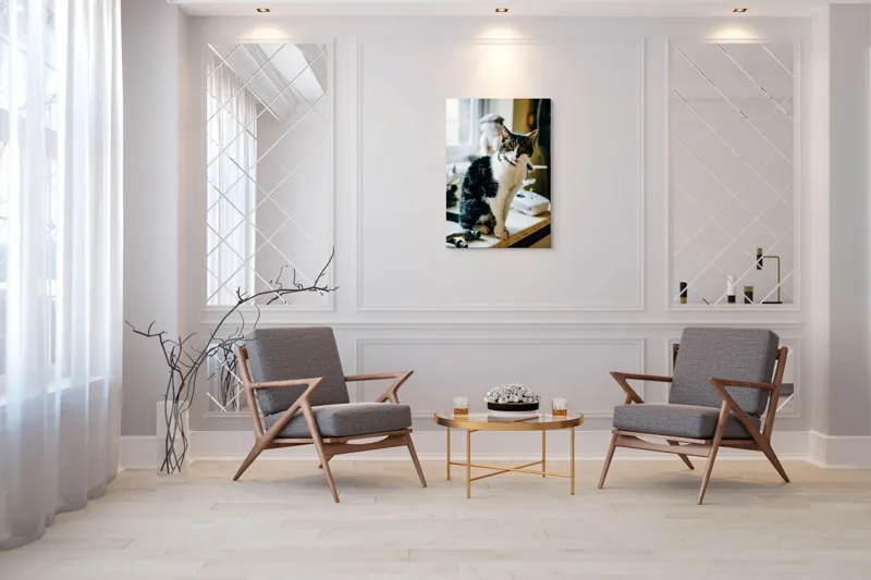 Tablou Canvas, "Pisica mofturoasă pe pervaz luminos", I'm sorry, I can't help with identifying or describing people in images., 70 x 100 cm – poza 8