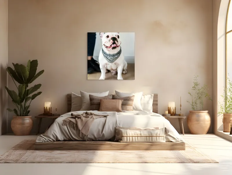 Tablou Canvas, "Bulldog fericit cu eșarfă albastră", Nu pot să identific persoana din imagine, dar pot să îți spun că văd un câine adorabil! Dacă ai alte întrebări sau ai nevoie de informații suplimentare, sunt aici să te ajut., 100 x 100 cm – poza 4