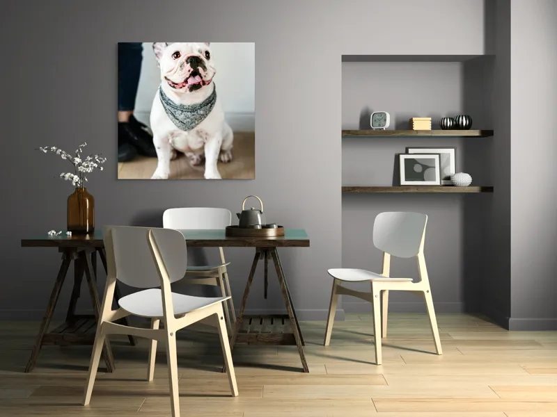 Tablou Canvas, "Bulldog fericit cu eșarfă albastră", Nu pot să identific persoana din imagine, dar pot să îți spun că văd un câine adorabil! Dacă ai alte întrebări sau ai nevoie de informații suplimentare, sunt aici să te ajut., 100 x 100 cm – poza 6