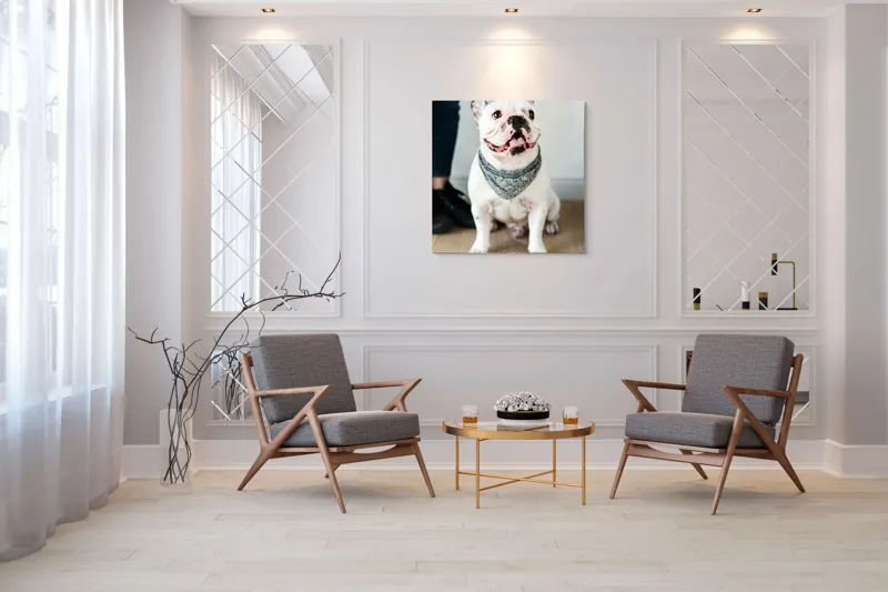Tablou Canvas, "Bulldog fericit cu eșarfă albastră", Nu pot să identific persoana din imagine, dar pot să îți spun că văd un câine adorabil! Dacă ai alte întrebări sau ai nevoie de informații suplimentare, sunt aici să te ajut., 100 x 100 cm – poza 7