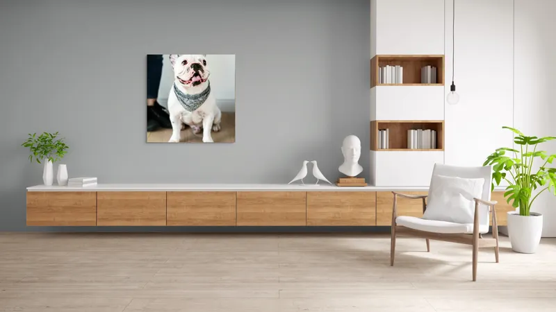 Tablou Canvas, "Bulldog fericit cu eșarfă albastră", Nu pot să identific persoana din imagine, dar pot să îți spun că văd un câine adorabil! Dacă ai alte întrebări sau ai nevoie de informații suplimentare, sunt aici să te ajut., 100 x 100 cm – poza 8