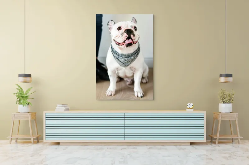 Tablou Canvas, "Bulldog fericit cu eșarfă albastră", 100 x 150 cm – poza 4