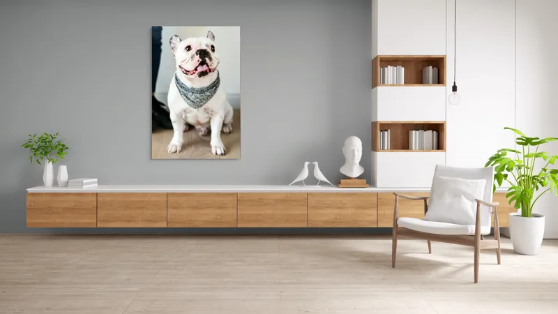 Tablou Canvas, "Bulldog fericit cu eșarfă albastră", 100 x 150 cm – poza 8