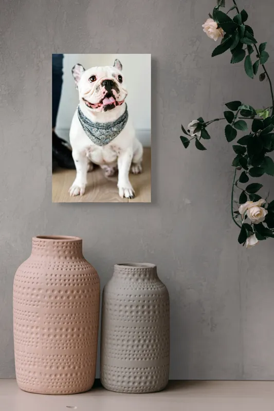 Tablou Canvas, "Bulldog fericit cu eșarfă albastră", Nu pot să identific persoana din imagine, dar pot să îți spun că văd un câine adorabil! Dacă ai alte întrebări sau ai nevoie de informații suplimentare, sunt aici să te ajut., 26 x 39 cm – poza 6
